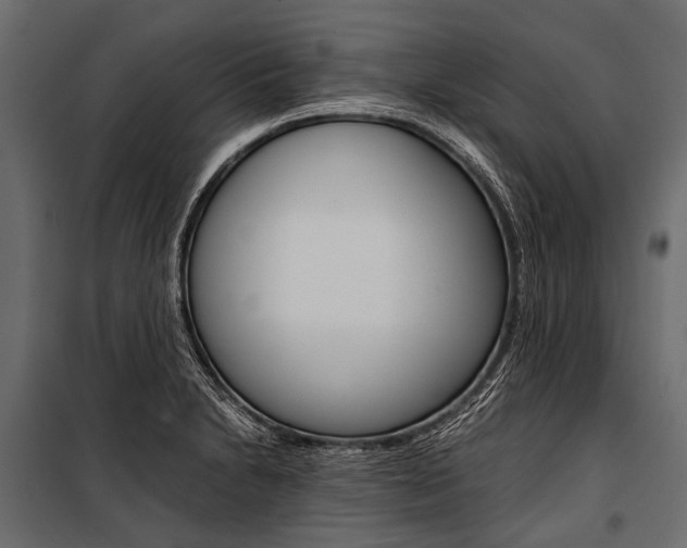 X0000100931230200806241130