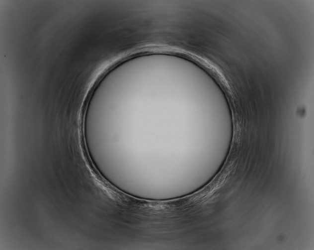 X0000100931231200806241130