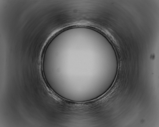 X0000100931232200806241130
