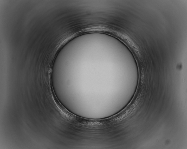 X0000100931233200806241130