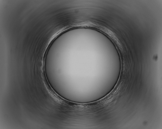X0000100931234200806241130