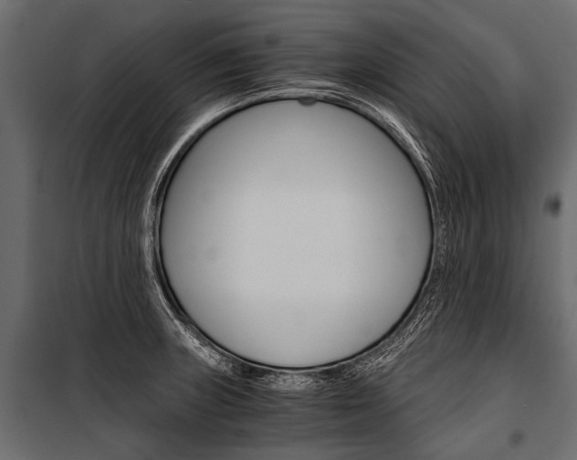 X0000100931235200806241130
