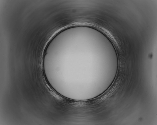 X0000100931236200806241130