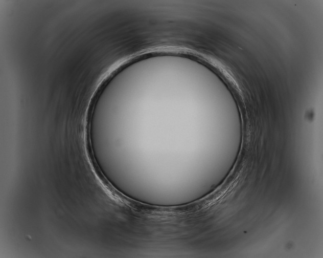 X0000100931237200806241130