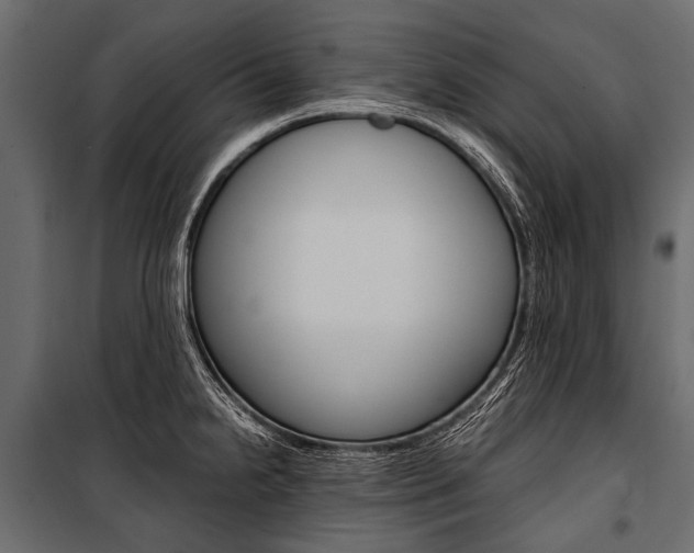 X0000100931238200806241130
