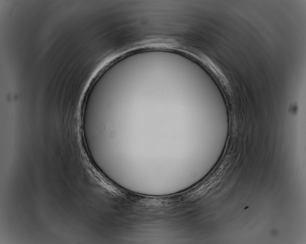 X0000100931240200806241130