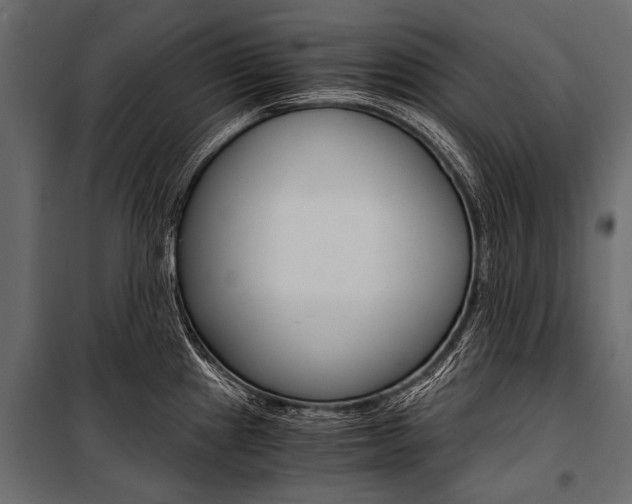 X0000100931241200806241130
