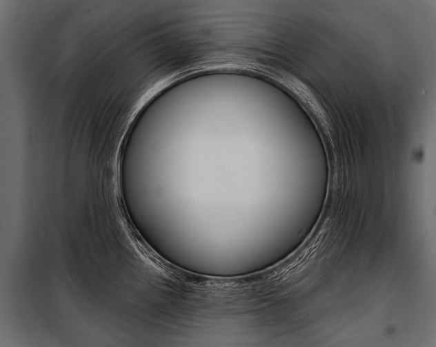 X0000100931242200806241130