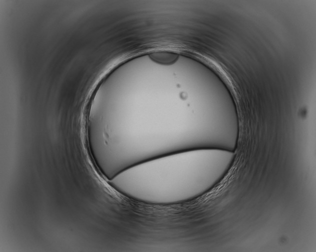 X0000100931243200806241130