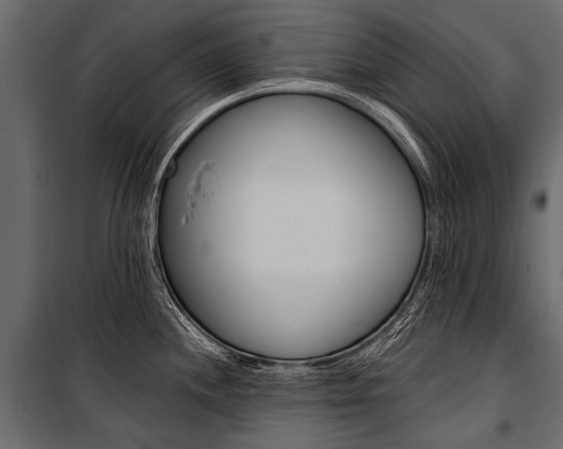 X0000100931244200806241130