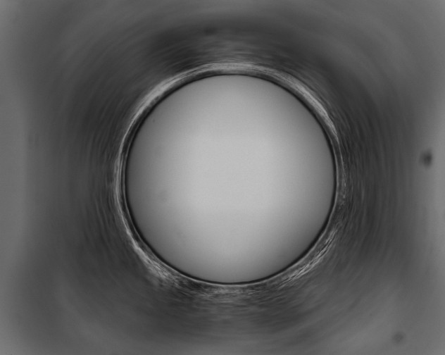 X0000100931245200806241130