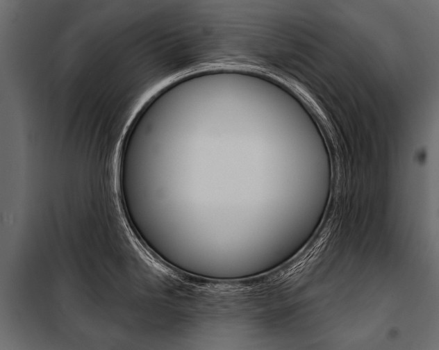 X0000100931246200806241130