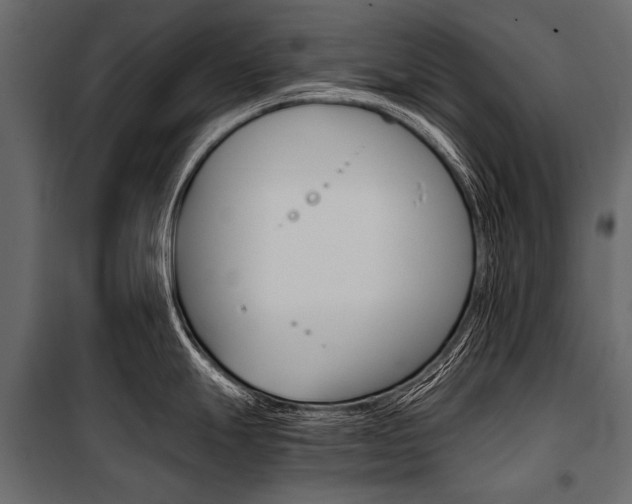 X0000100931247200806241130