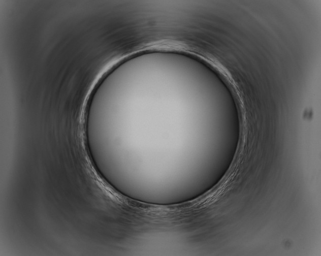 X0000100931248200806241130
