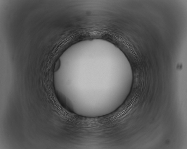 X0000100931249200806241129