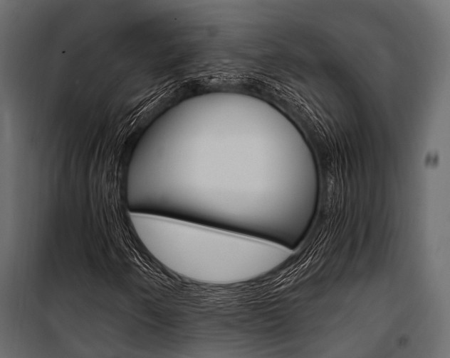 X0000100931250200806241129