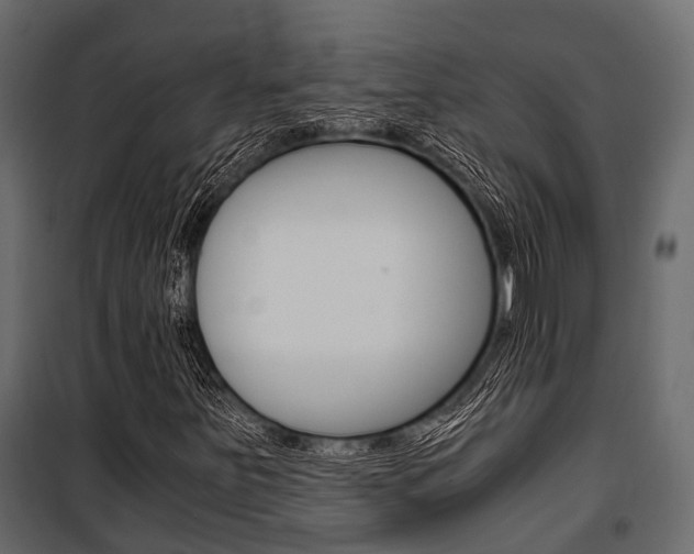X0000100931251200806241129