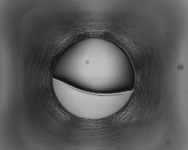 X0000100931252200806241129