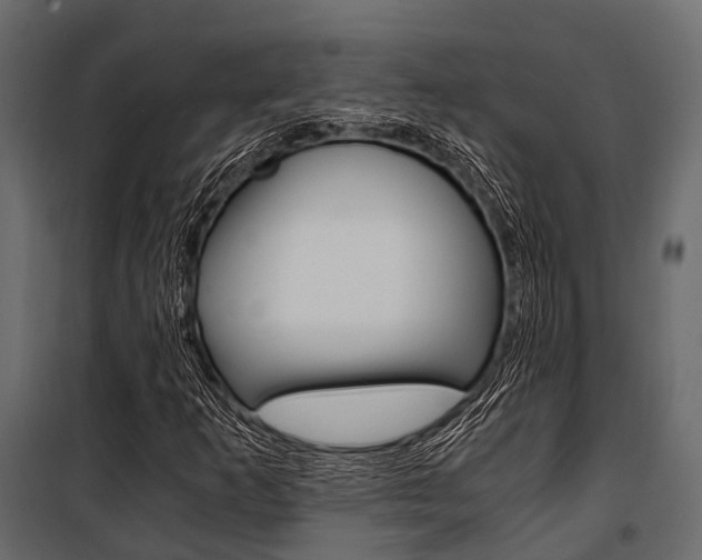 X0000100931253200806241129