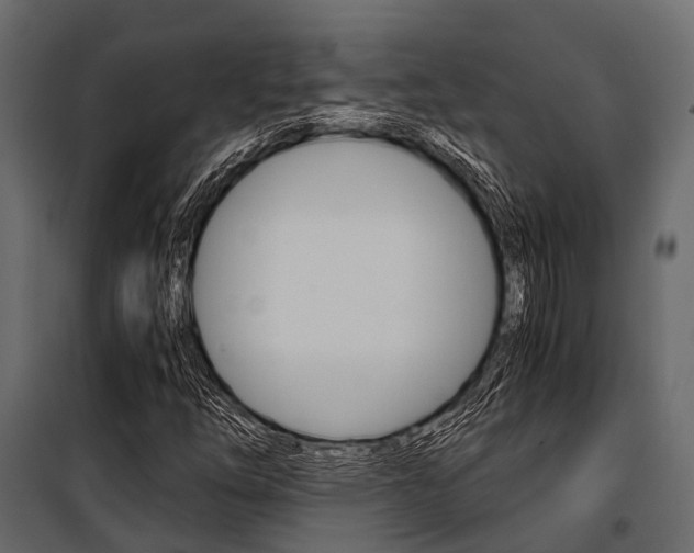X0000100931254200806241129