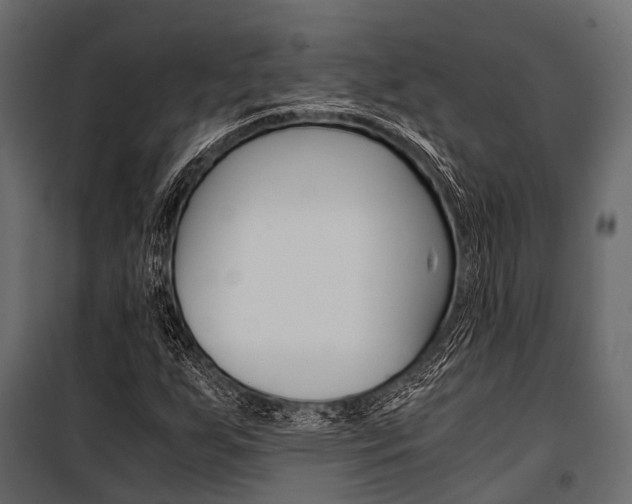 X0000100931255200806241129