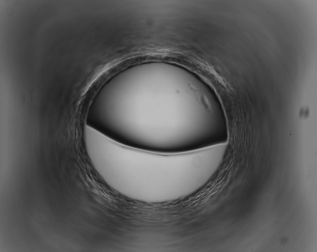 X0000100931256200806241129