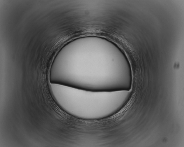 X0000100931257200806241129