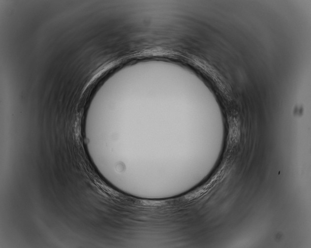 X0000100931258200806241129