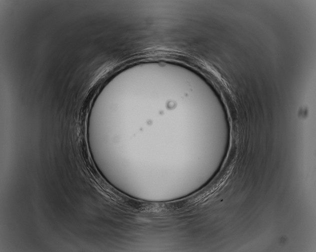 X0000100931259200806241129