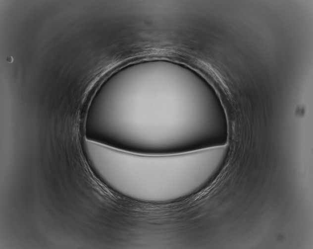 X0000100931260200806241129