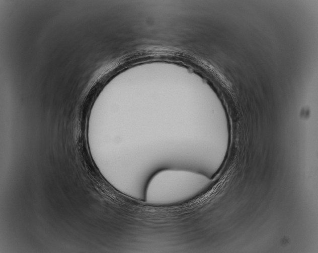 X0000100931261200806241129