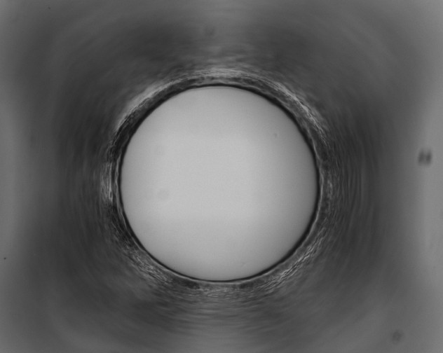 X0000100931262200806241129