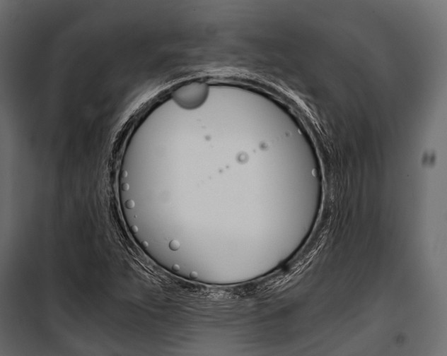 X0000100931263200806241129