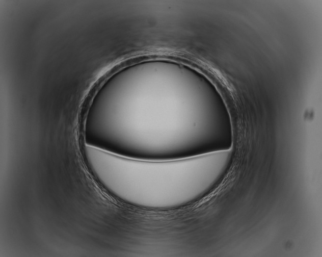 X0000100931264200806241129