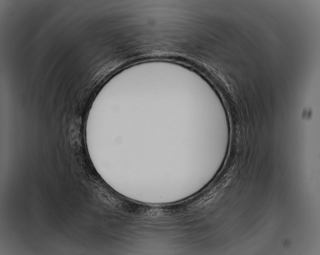 X0000100931265200806241129