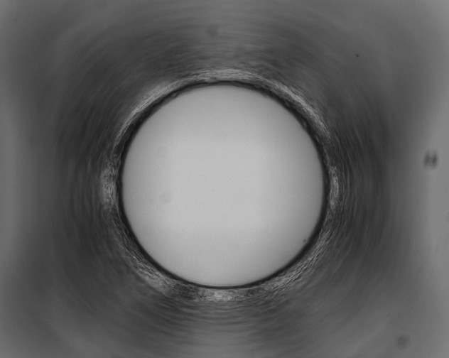 X0000100931266200806241129
