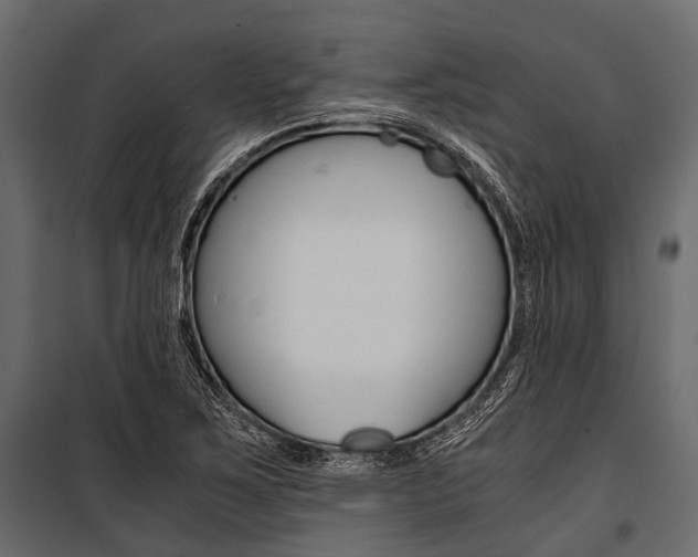 X0000100931267200806241129
