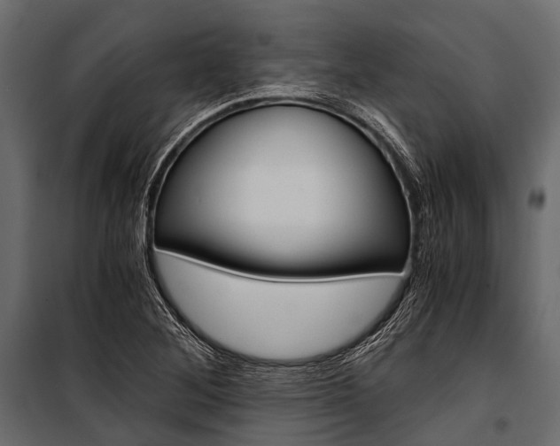 X0000100931268200806241129