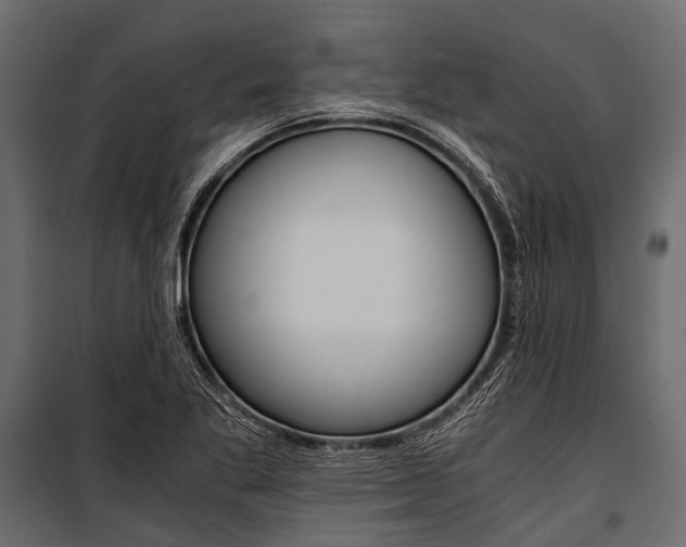 X0000100931269200806241129