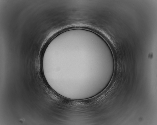 X0000100931270200806241129