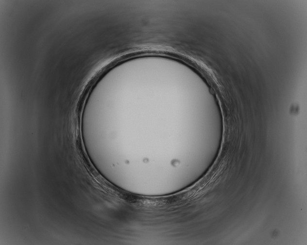 X0000100931271200806241129
