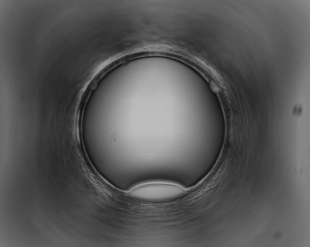 X0000100931272200806241129