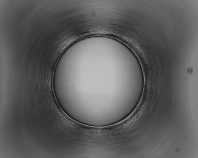 X0000100931273200806241129