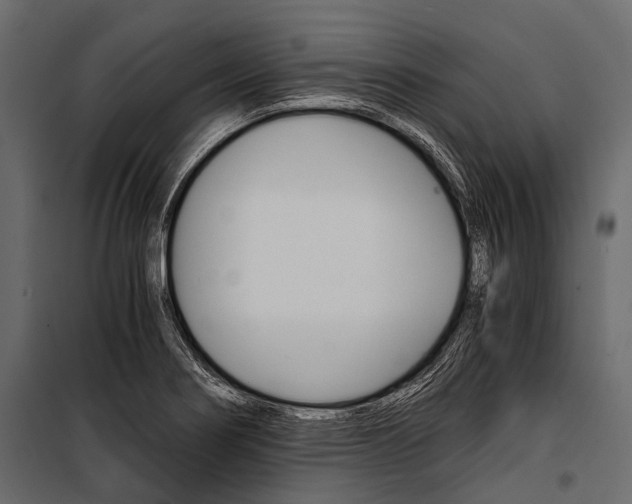 X0000100931274200806241129