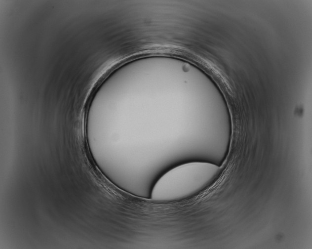 X0000100931275200806241129