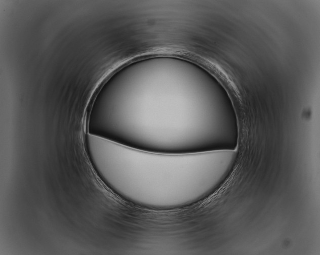 X0000100931276200806241129
