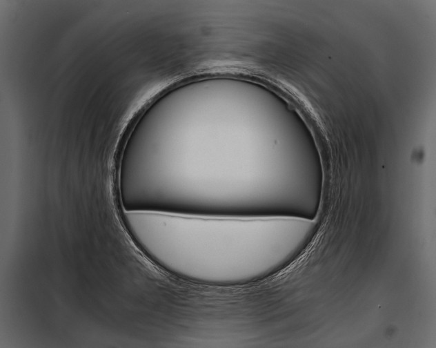 X0000100931277200806241129
