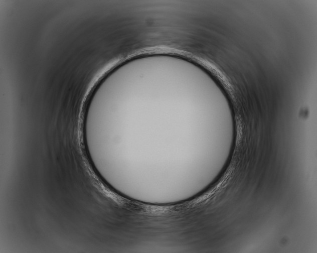 X0000100931278200806241129