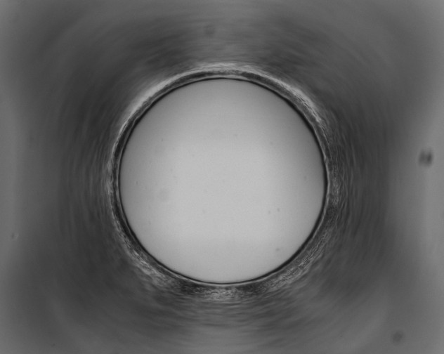 X0000100931279200806241129