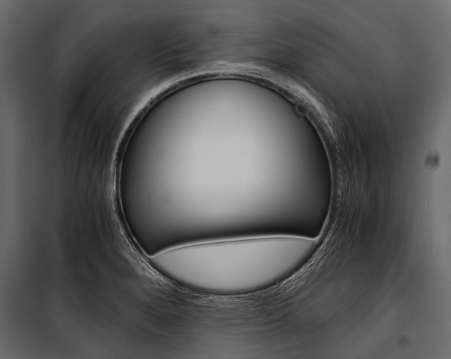 X0000100931280200806241129